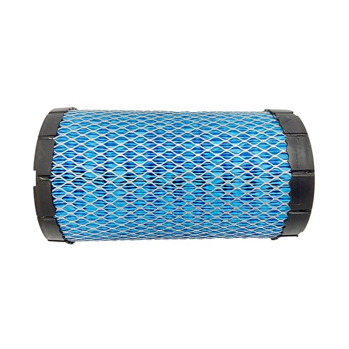 Polaris engine air filter - engine,